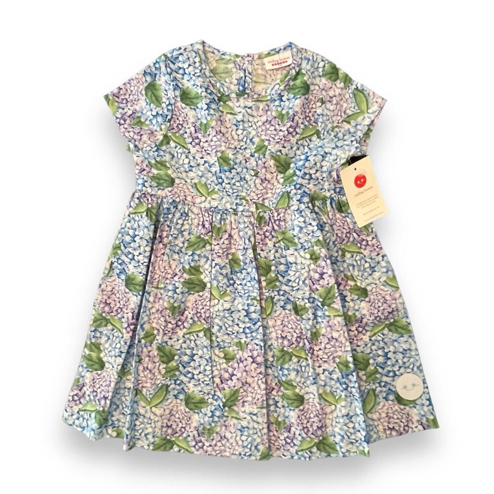 Smiling Button NWT Hydrangea Sunday Dress. Size 12-18 Months.